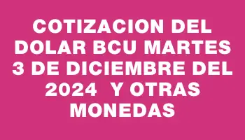 Cotizacion del dolar Bcu Martes 3 de diciembre del 2024  y otras monedas