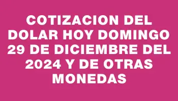 Cotizacion del dolar hoy Domingo 29 de diciembre del 2024 y de otras monedas