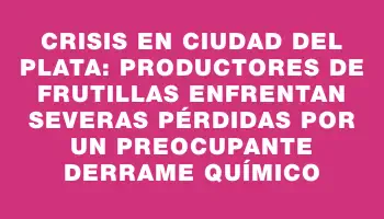 Crisis en Ciudad del Plata: Productores de frutillas enfrentan severas pérdidas por un preocupante derrame químico