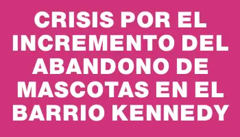 Crisis por el incremento del abandono de mascotas en el Barrio Kennedy