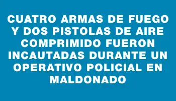 Cuatro armas de fuego y dos pistolas de aire comprimido fueron incautadas durante un operativo policial en Maldonado