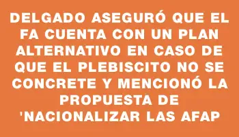 Delgado aseguró que el Fa cuenta con un plan alternativo en caso de que el plebiscito no se concrete y mencionó la propuesta de 