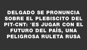 Delgado se pronuncia sobre el plebiscito del Pit-cnt: 