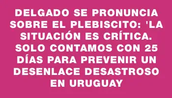 Delgado se pronuncia sobre el plebiscito: 