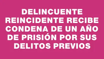 Delincuente reincidente recibe condena de un año de prisión por sus delitos previos