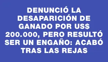 Denunció la desaparición de ganado por Us$ 200.000, pero resultó ser un engaño: acabó tras las rejas