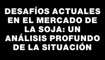 Desafíos actuales en el mercado de la soja: un análisis profundo de la situación