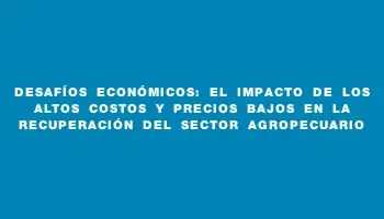 Desafíos económicos: el impacto de los altos costos y precios bajos en la recuperación del sector agropecuario