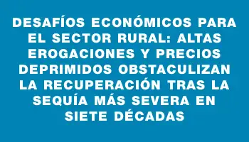 Desafíos económicos para el sector rural: altas erogaciones y precios deprimidos obstaculizan la recuperación tras la sequía más severa en siete décadas