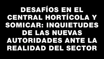 Desafíos en el Central Hortícola y Somicar: inquietudes de las nuevas autoridades ante la realidad del sector