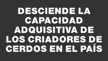 Desciende la capacidad adquisitiva de los criadores de cerdos en el país