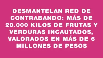 Desmantelan red de contrabando: más de 20.000 kilos de frutas y verduras incautados, valorados en más de 6 millones de pesos