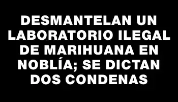 Desmantelan un laboratorio ilegal de marihuana en Noblía; se dictan dos condenas