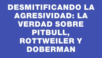 Desmitificando la agresividad: La verdad sobre Pitbull, Rottweiler y Doberman