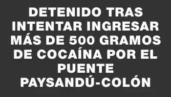 Detenido tras intentar ingresar más de 500 gramos de cocaína por el puente Paysandú-Colón