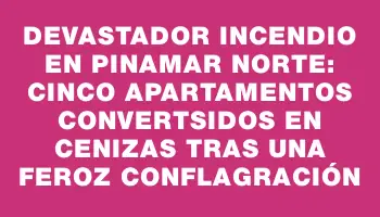 Devastador incendio en Pinamar Norte: cinco apartamentos convertsidos en cenizas tras una feroz conflagración