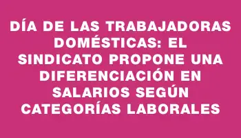 Día de las Trabajadoras Domésticas: el sindicato propone una diferenciación en salarios según categorías laborales