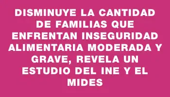 Disminuye la cantidad de familias que enfrentan inseguridad alimentaria moderada y grave, revela un estudio del Ine y el Mides