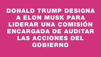 Donald Trump designa a Elon Musk para liderar una comisión encargada de auditar las acciones del gobierno