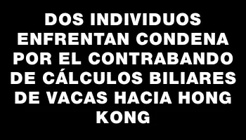 Dos individuos enfrentan condena por el contrabando de cálculos biliares de vacas hacia Hong Kong