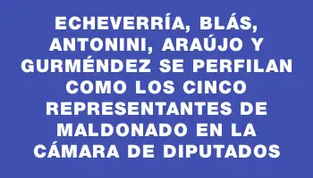 Echeverría, Blás, Antonini, Araújo y Gurméndez se perfilan como los cinco representantes de Maldonado en la Cámara de Diputados