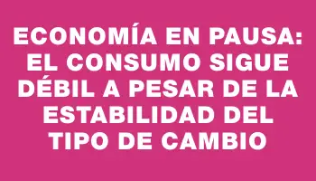 Economía en pausa: el consumo sigue débil a pesar de la estabilidad del tipo de cambio