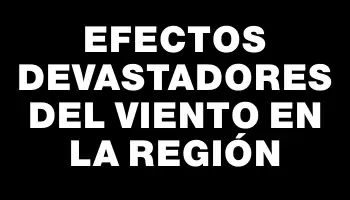 Efectos devastadores del viento en la región