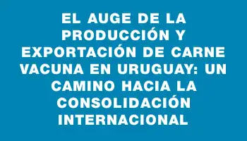 El auge de la producción y exportación de carne vacuna en Uruguay: un camino hacia la consolidación internacional