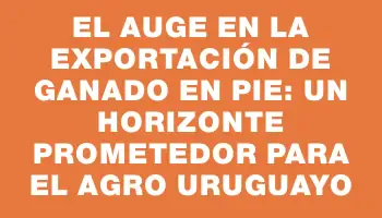El auge en la exportación de ganado en pie: un horizonte prometedor para el agro uruguayo