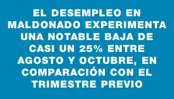 El desempleo en Maldonado experimenta una notable baja de casi un 25% entre agosto y octubre, en comparación con el trimestre previo