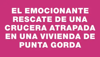 El emocionante rescate de una crucera atrapada en una vivienda de Punta Gorda