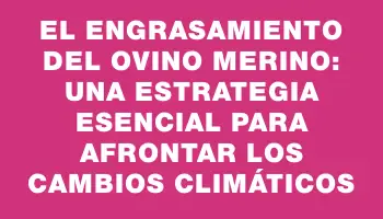 El engrasamiento del ovino Merino: una estrategia esencial para afrontar los cambios climáticos