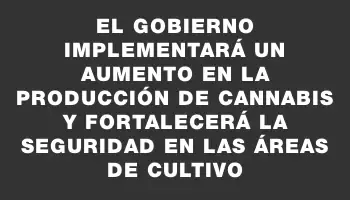 El gobierno implementará un aumento en la producción de cannabis y fortalecerá la seguridad en las áreas de cultivo