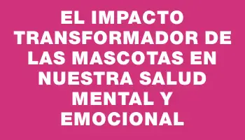 El Impacto Transformador de las Mascotas en Nuestra Salud Mental y Emocional