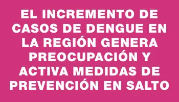 El incremento de casos de dengue en la región genera preocupación y activa medidas de prevención en Salto