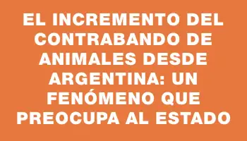 El incremento del contrabando de animales desde Argentina: Un fenómeno que preocupa al Estado