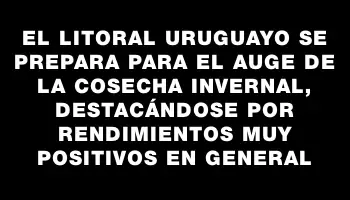 El litoral uruguayo se prepara para el auge de la cosecha invernal, destacándose por rendimientos muy positivos en general