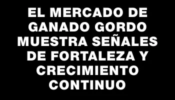 El mercado de ganado gordo muestra señales de fortaleza y crecimiento continuo