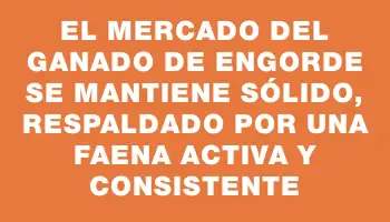 El mercado del ganado de engorde se mantiene sólido, respaldado por una faena activa y consistente