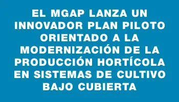 El Mgap lanza un innovador plan piloto orientado a la modernización de la producción hortícola en sistemas de cultivo bajo cubierta