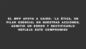 El Mpp apoya a Cairo: 