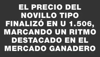 El precio del Novillo Tipo finalizó en U$s 1.506, marcando un ritmo destacado en el mercado ganadero