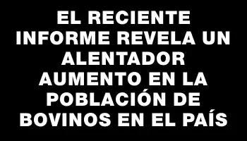 El reciente informe revela un alentador aumento en la población de bovinos en el país