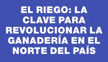 El riego: la clave para revolucionar la ganadería en el norte del país