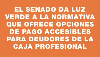 El Senado da luz verde a la normativa que ofrece opciones de pago accesibles para deudores de la Caja Profesional