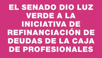 El Senado dio luz verde a la iniciativa de refinanciación de deudas de la Caja de Profesionales