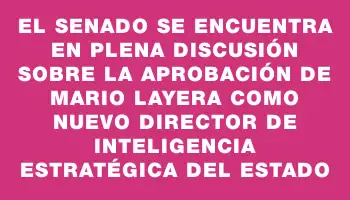 El Senado se encuentra en plena discusión sobre la aprobación de Mario Layera como nuevo director de Inteligencia Estratégica del Estado