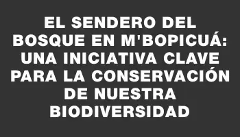 El Sendero del Bosque en M’Bopicuá: una iniciativa clave para la conservación de nuestra biodiversidad