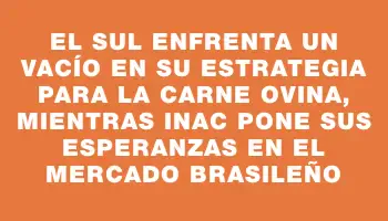 El Sul enfrenta un vacío en su estrategia para la carne ovina, mientras Inac pone sus esperanzas en el mercado brasileño