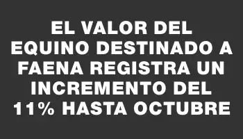 El valor del equino destinado a faena registra un incremento del 11% hasta octubre